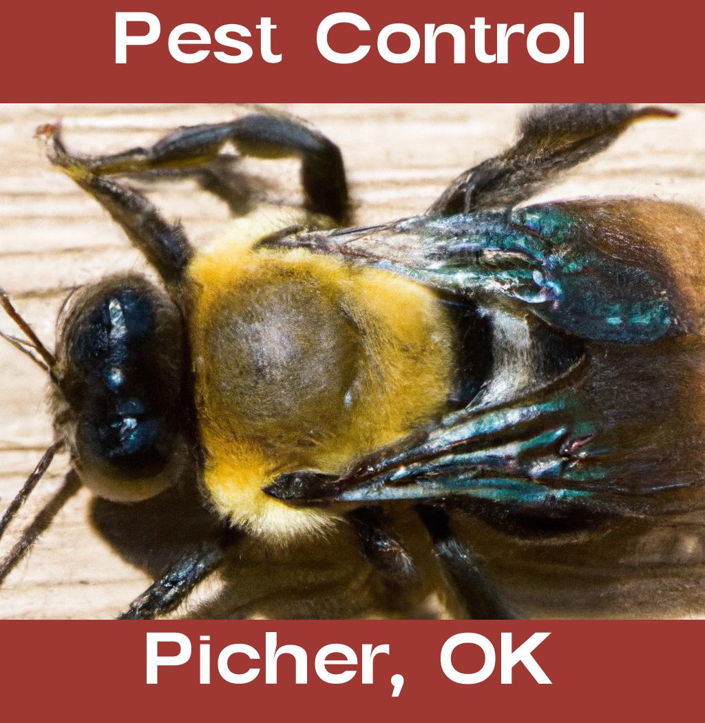 pest control in Picher Oklahoma