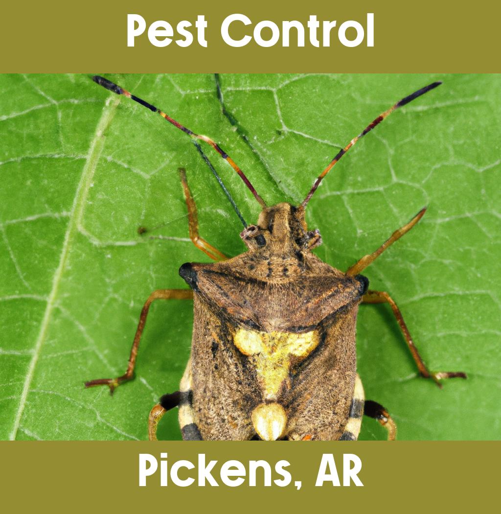 pest control in Pickens Arkansas