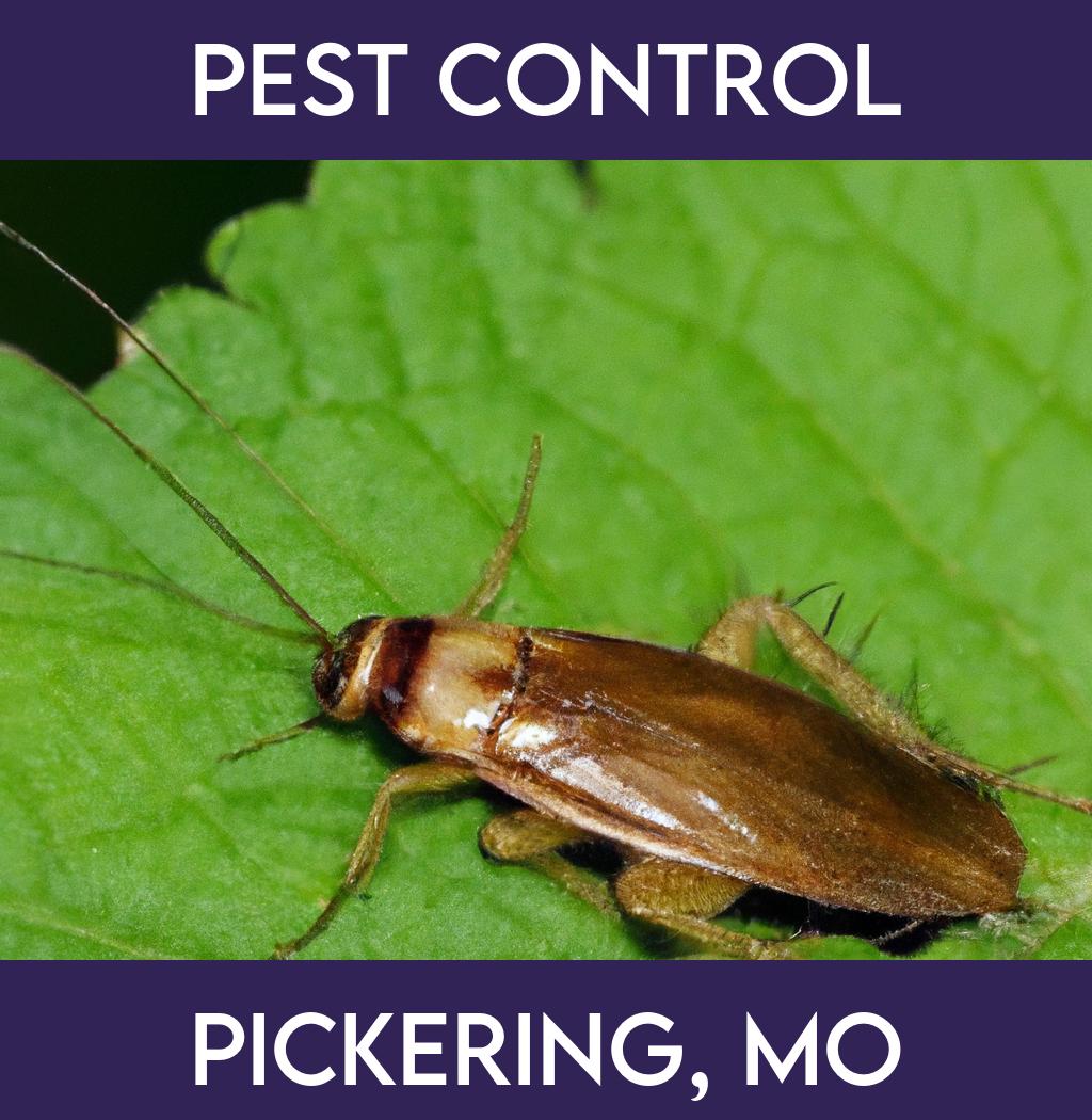 pest control in Pickering Missouri