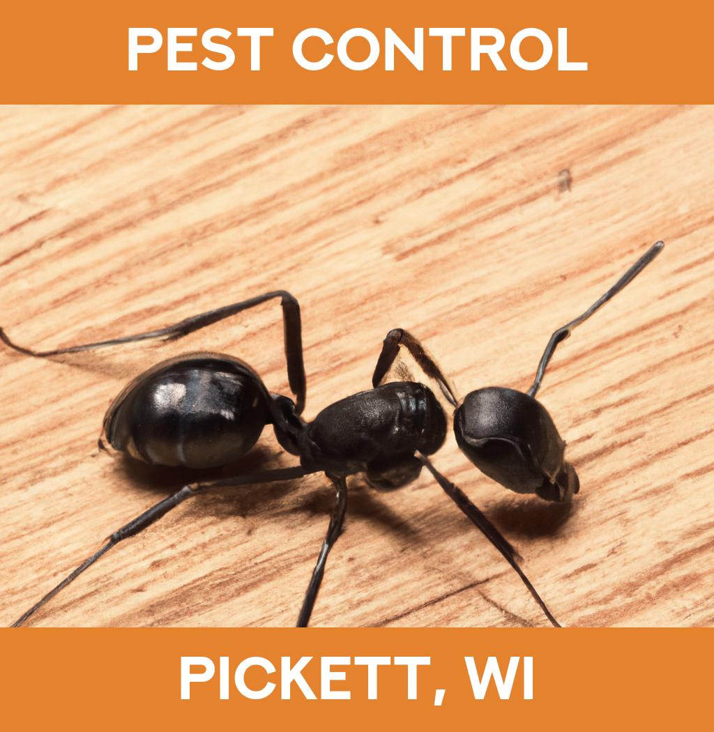 pest control in Pickett Wisconsin