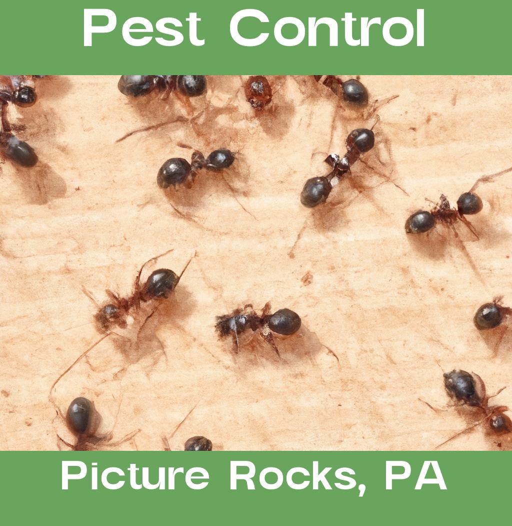 pest control in Picture Rocks Pennsylvania
