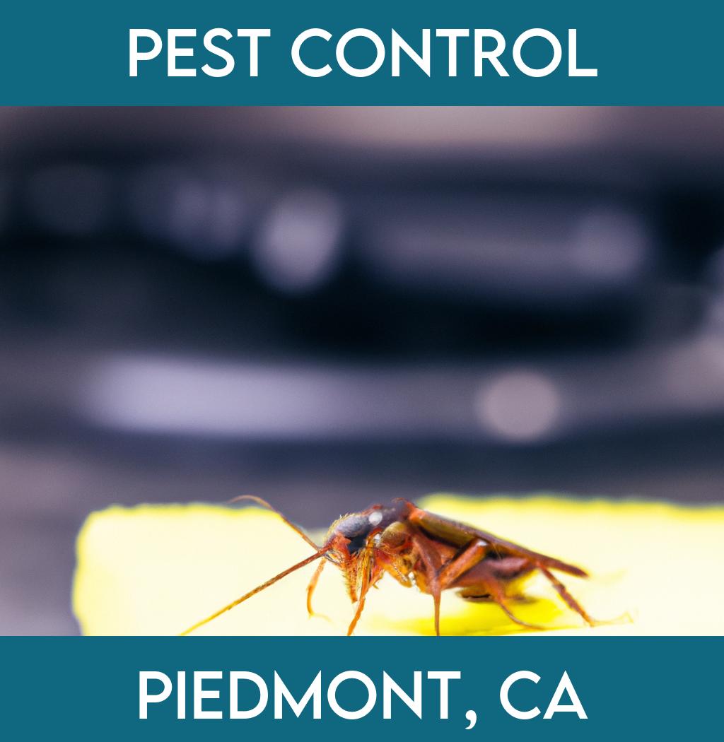 pest control in Piedmont California