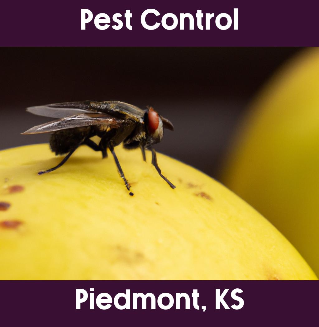 pest control in Piedmont Kansas