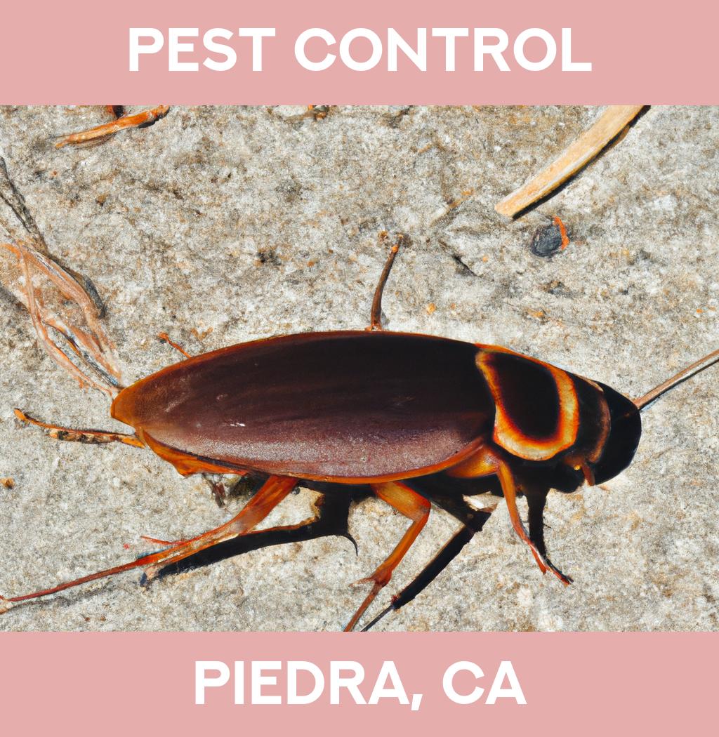 pest control in Piedra California
