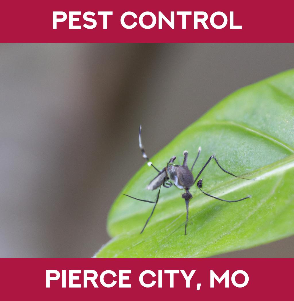 pest control in Pierce City Missouri
