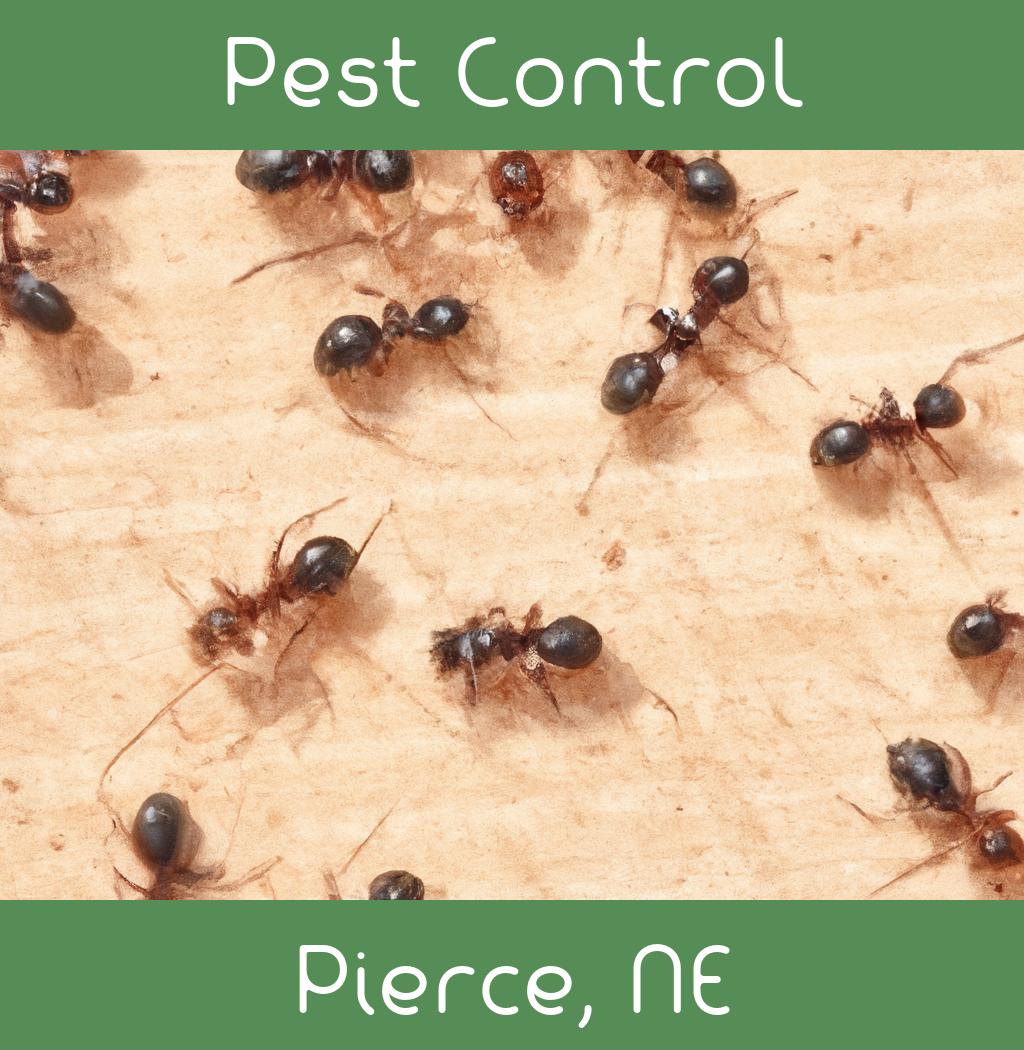 pest control in Pierce Nebraska