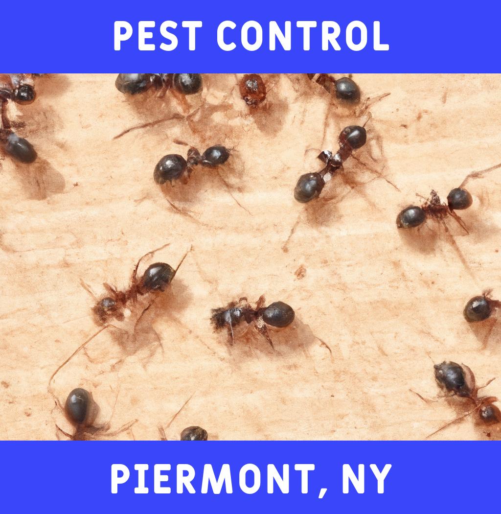 pest control in Piermont New York