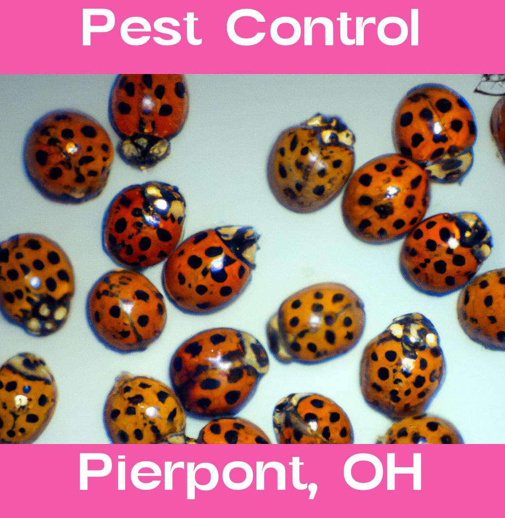 pest control in Pierpont Ohio