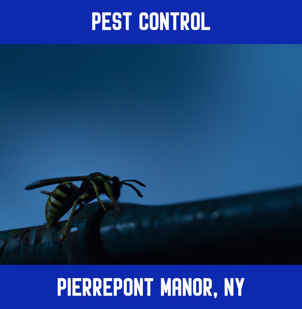 pest control in Pierrepont Manor New York