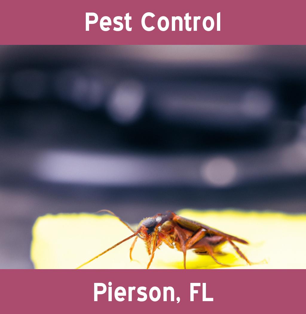 pest control in Pierson Florida