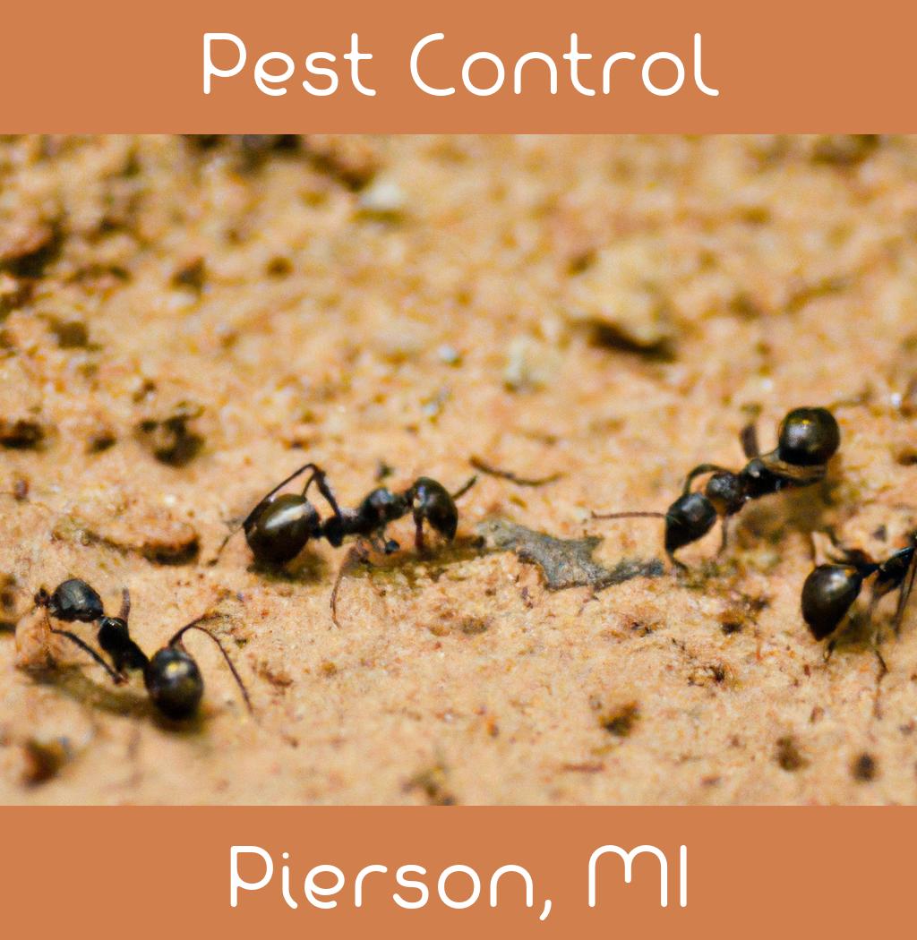 pest control in Pierson Michigan