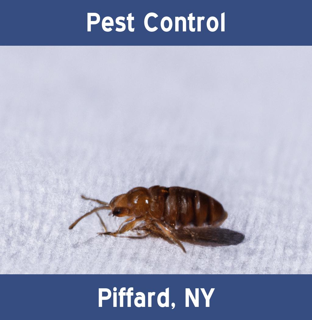 pest control in Piffard New York