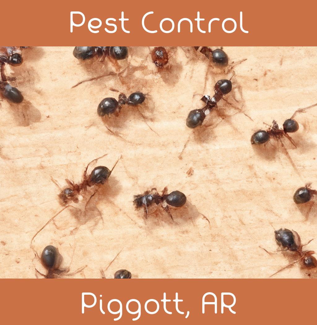 pest control in Piggott Arkansas