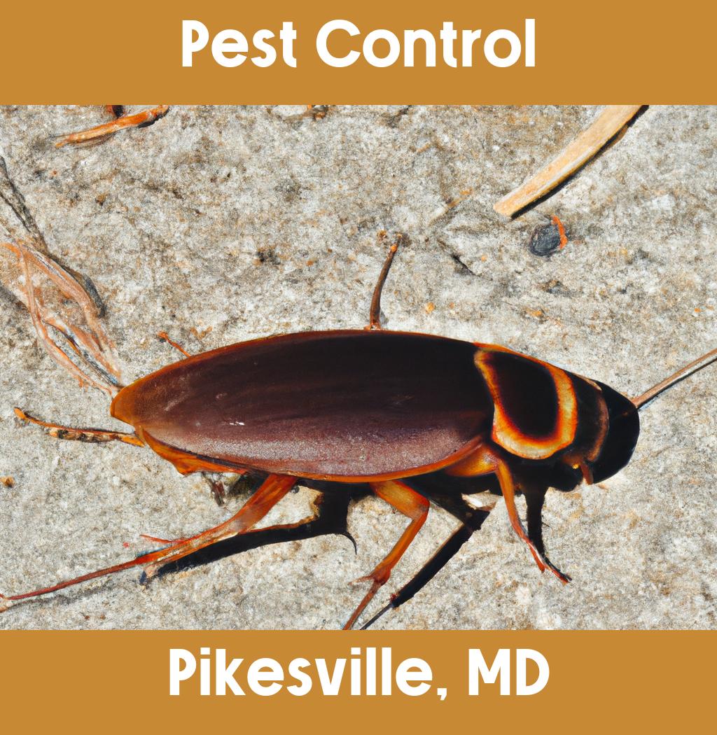 pest control in Pikesville Maryland