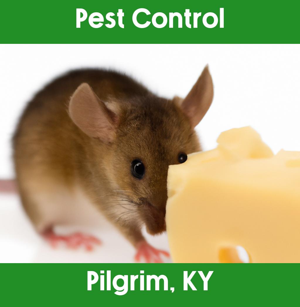 pest control in Pilgrim Kentucky