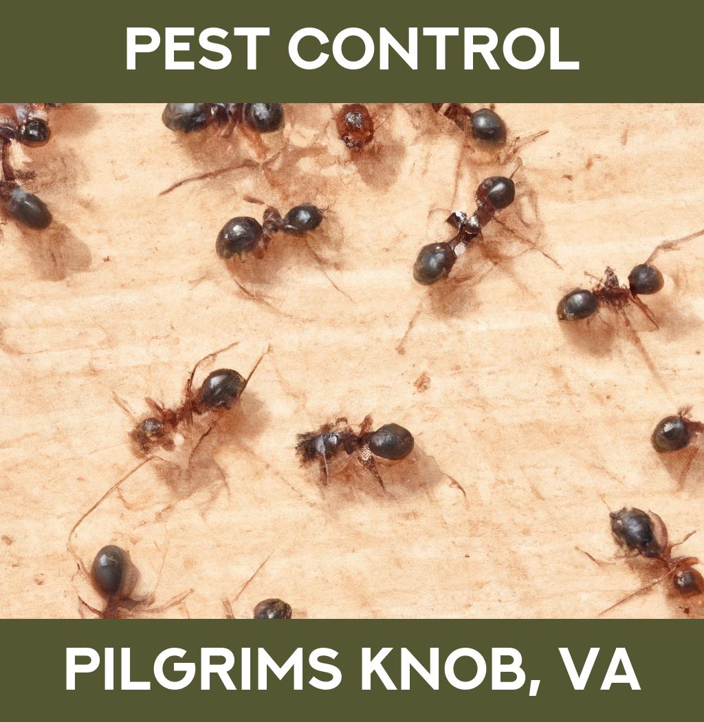 pest control in Pilgrims Knob Virginia