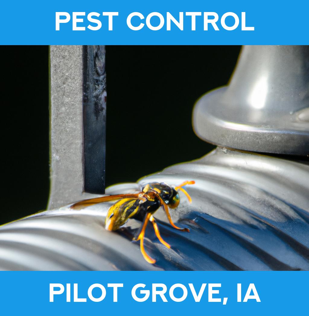 pest control in Pilot Grove Iowa