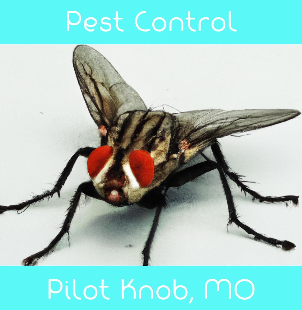 pest control in Pilot Knob Missouri