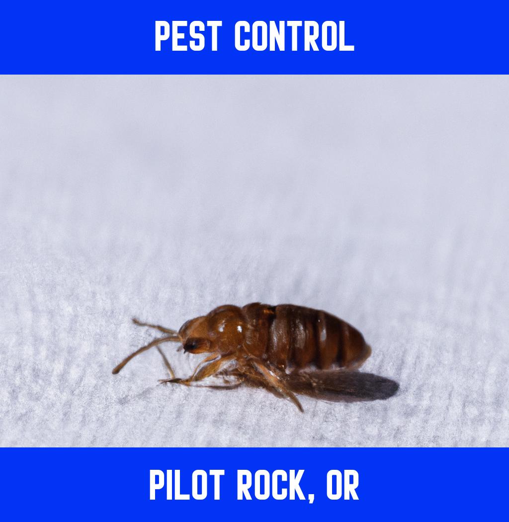 pest control in Pilot Rock Oregon