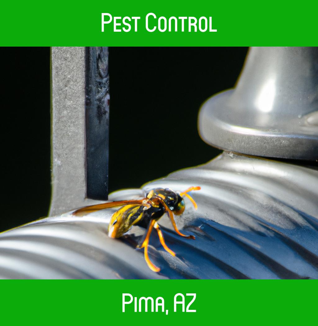 pest control in Pima Arizona