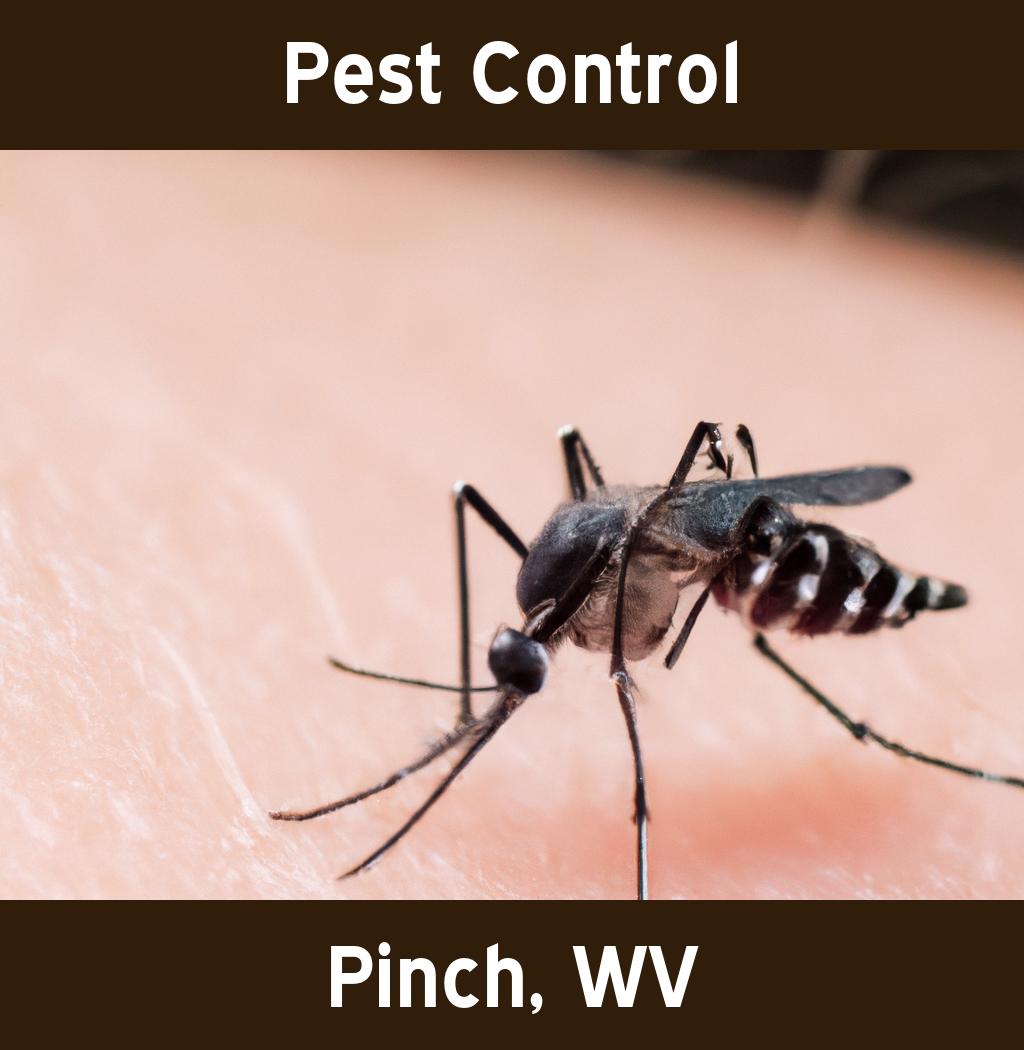 pest control in Pinch West Virginia