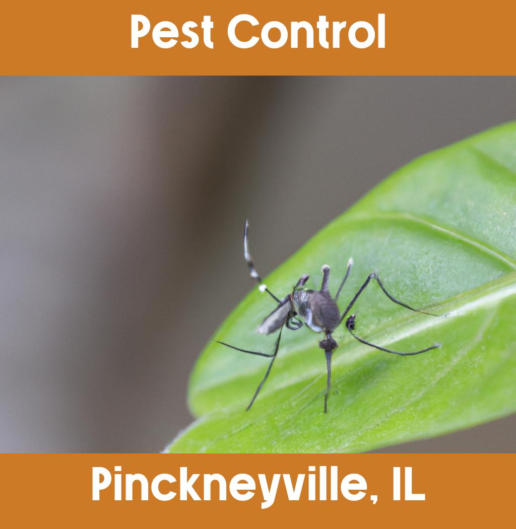 pest control in Pinckneyville Illinois