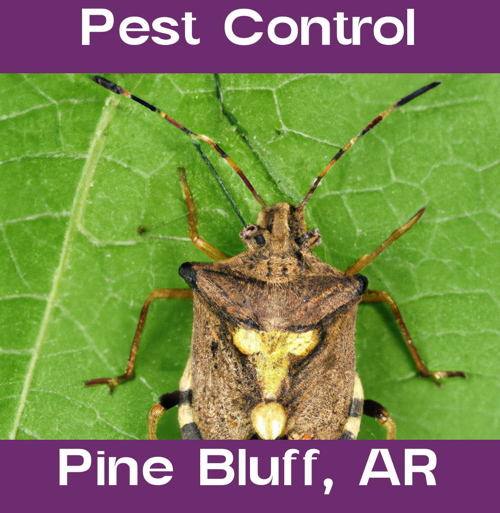 pest control in Pine Bluff Arkansas