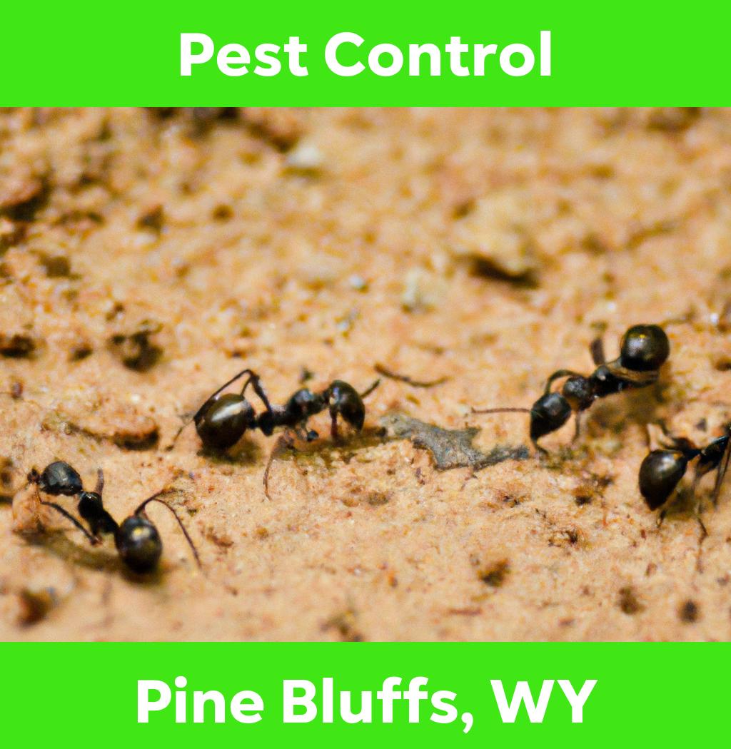 pest control in Pine Bluffs Wyoming