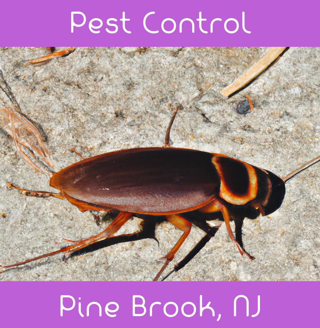 pest control in Pine Brook New Jersey