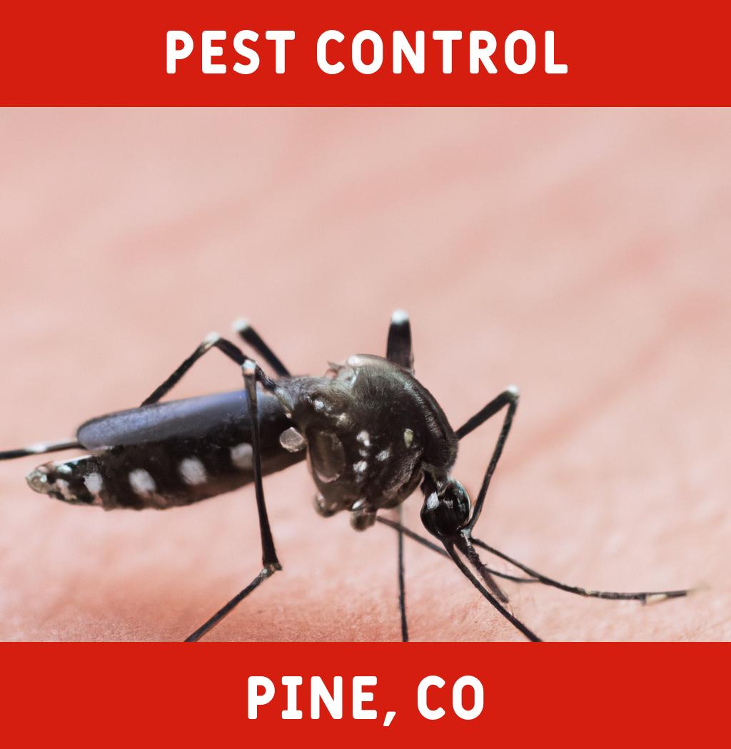 pest control in Pine Colorado