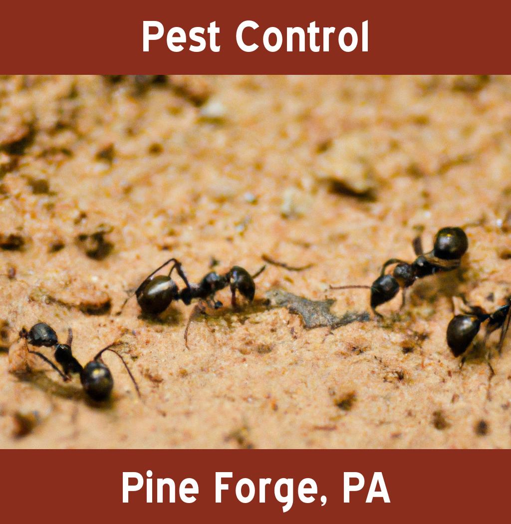 pest control in Pine Forge Pennsylvania