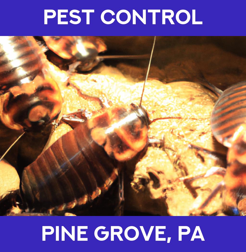 pest control in Pine Grove Pennsylvania