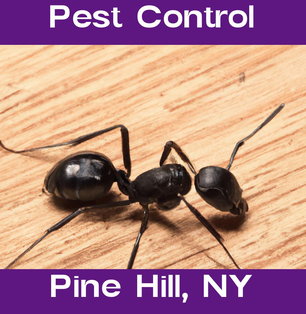 pest control in Pine Hill New York