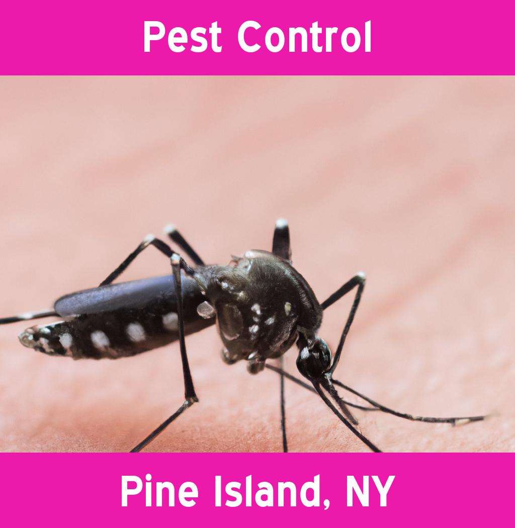 pest control in Pine Island New York