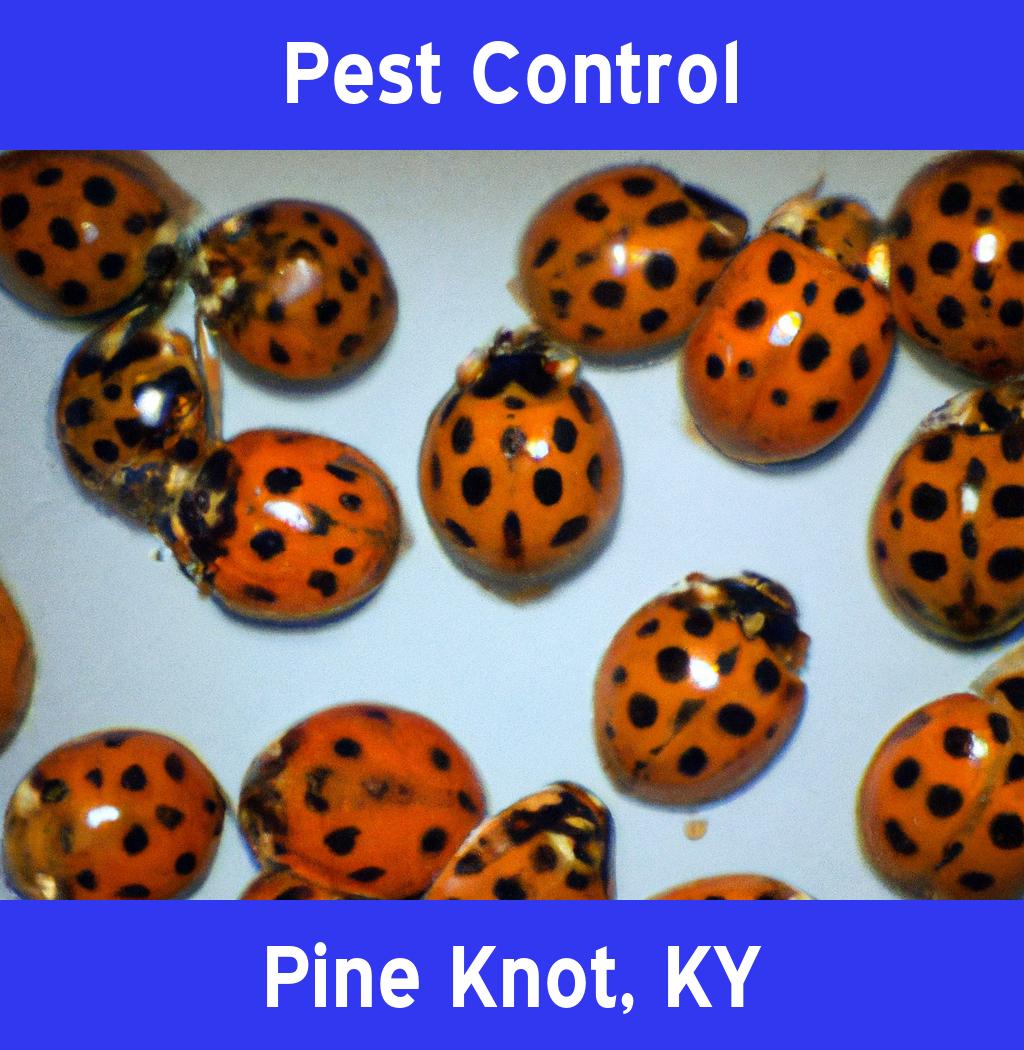 pest control in Pine Knot Kentucky