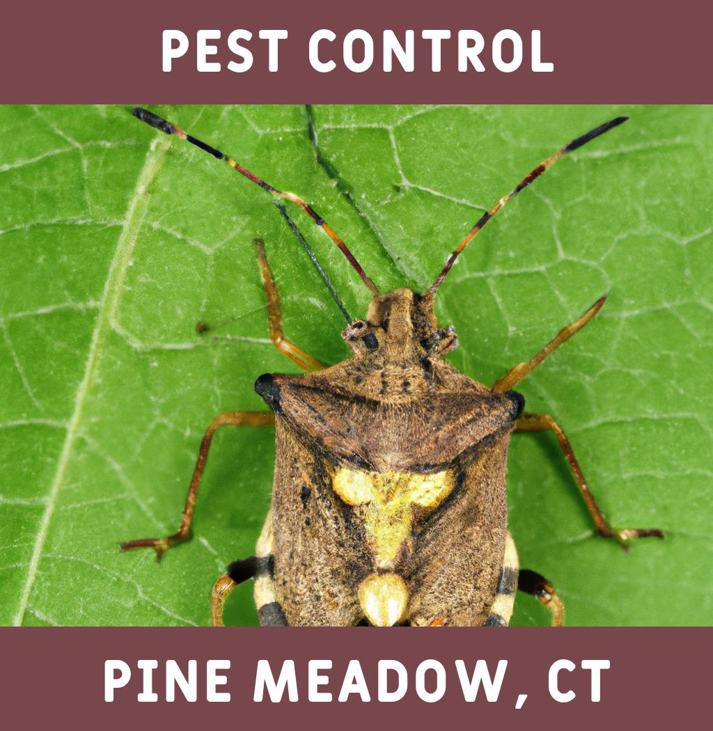 pest control in Pine Meadow Connecticut