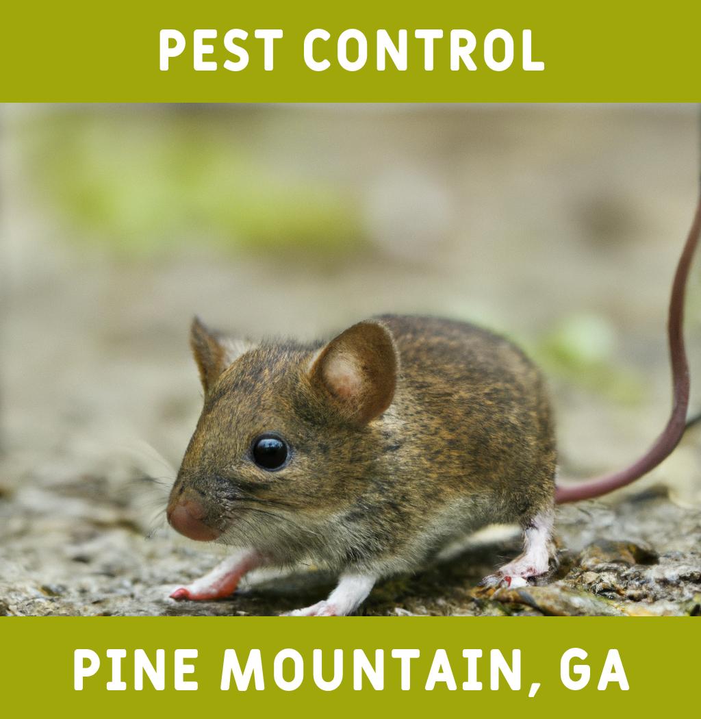 pest control in Pine Mountain Georgia