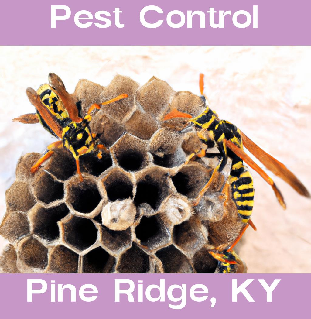 pest control in Pine Ridge Kentucky