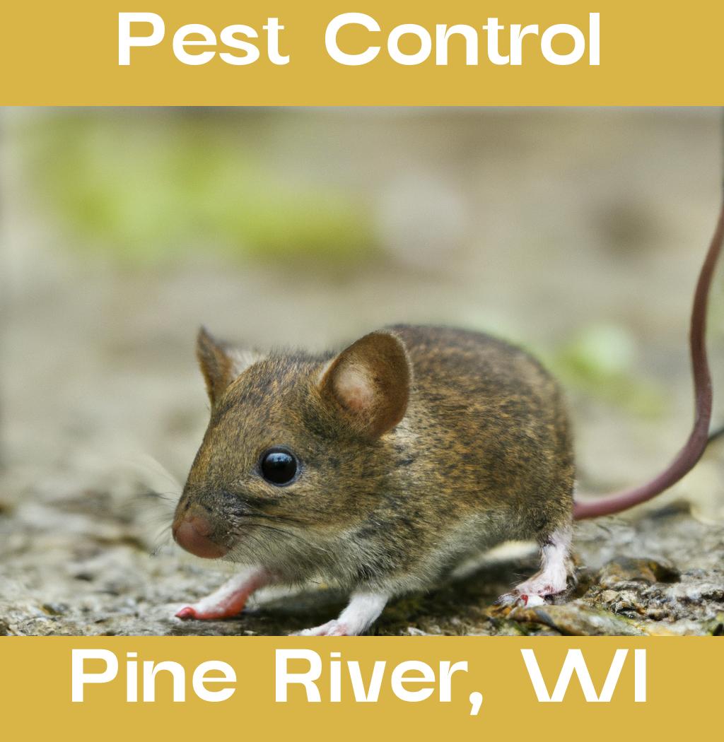 pest control in Pine River Wisconsin