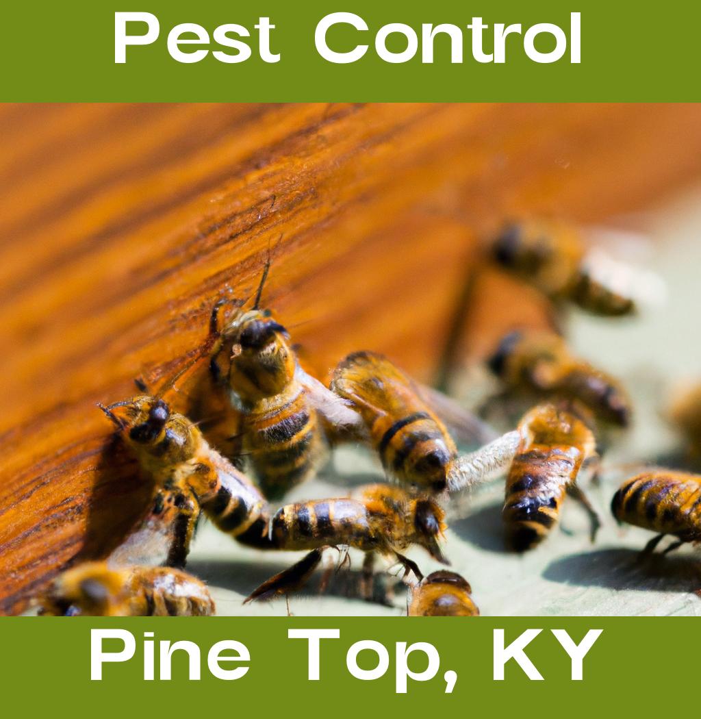 pest control in Pine Top Kentucky