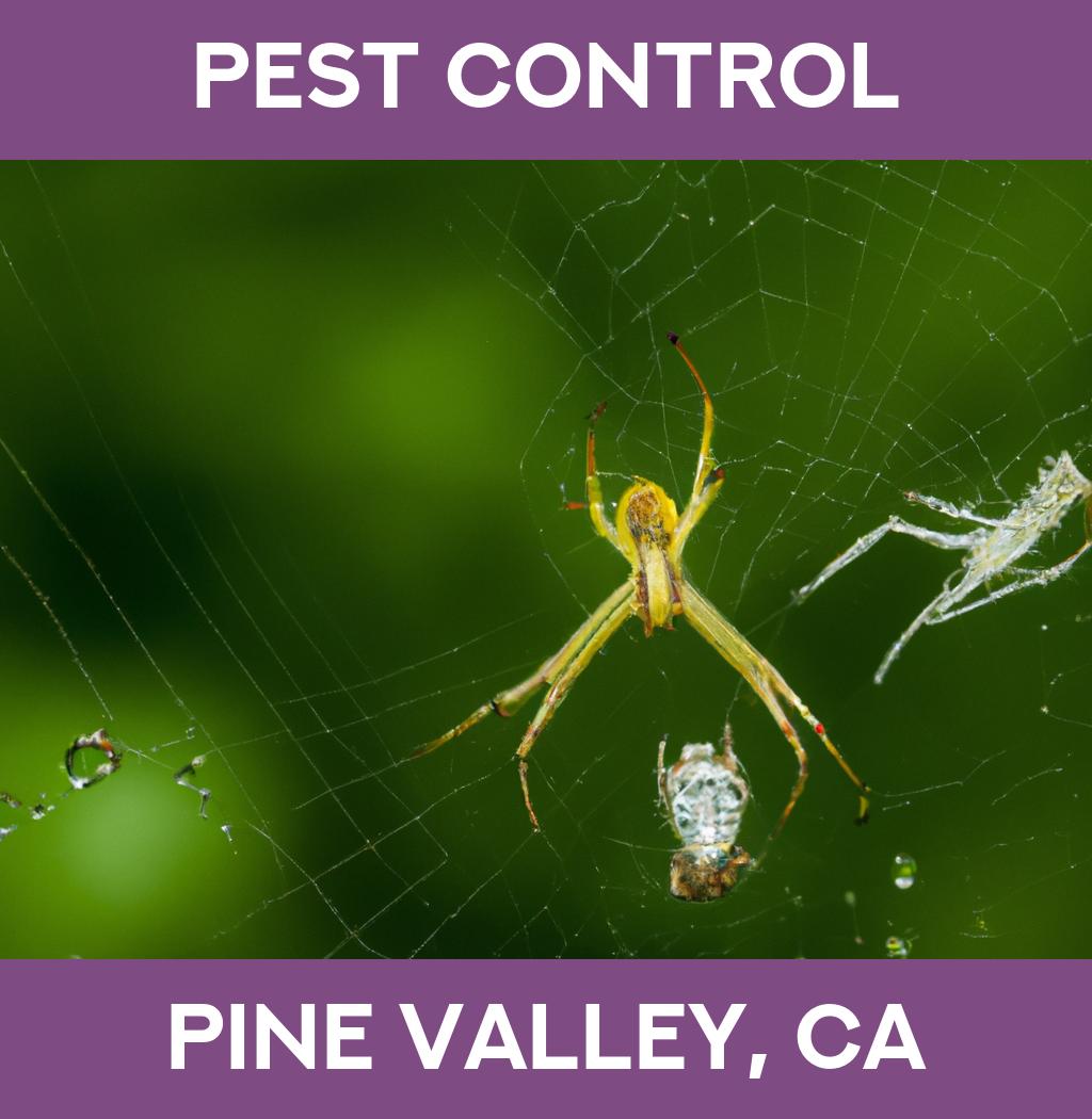 pest control in Pine Valley California