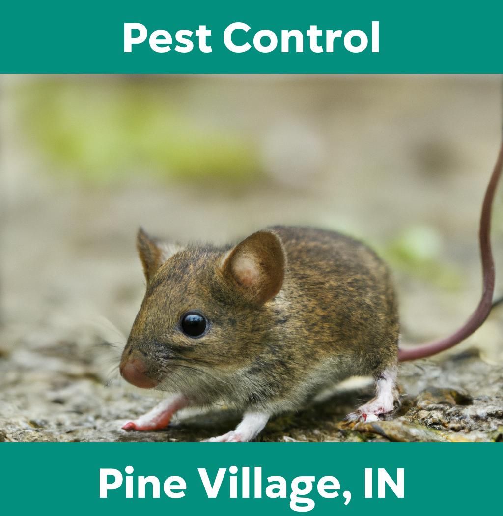 pest control in Pine Village Indiana