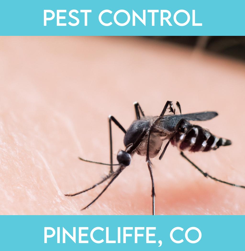 pest control in Pinecliffe Colorado