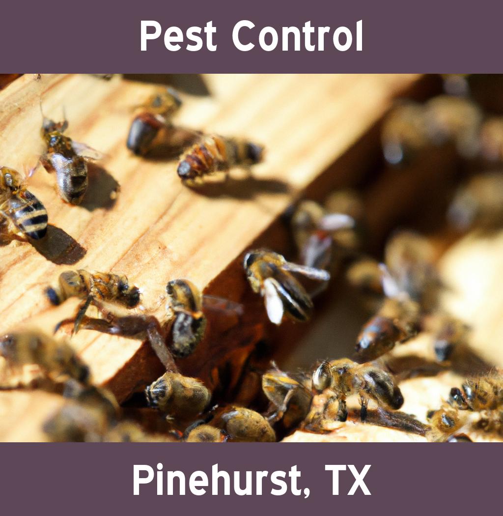 pest control in Pinehurst Texas
