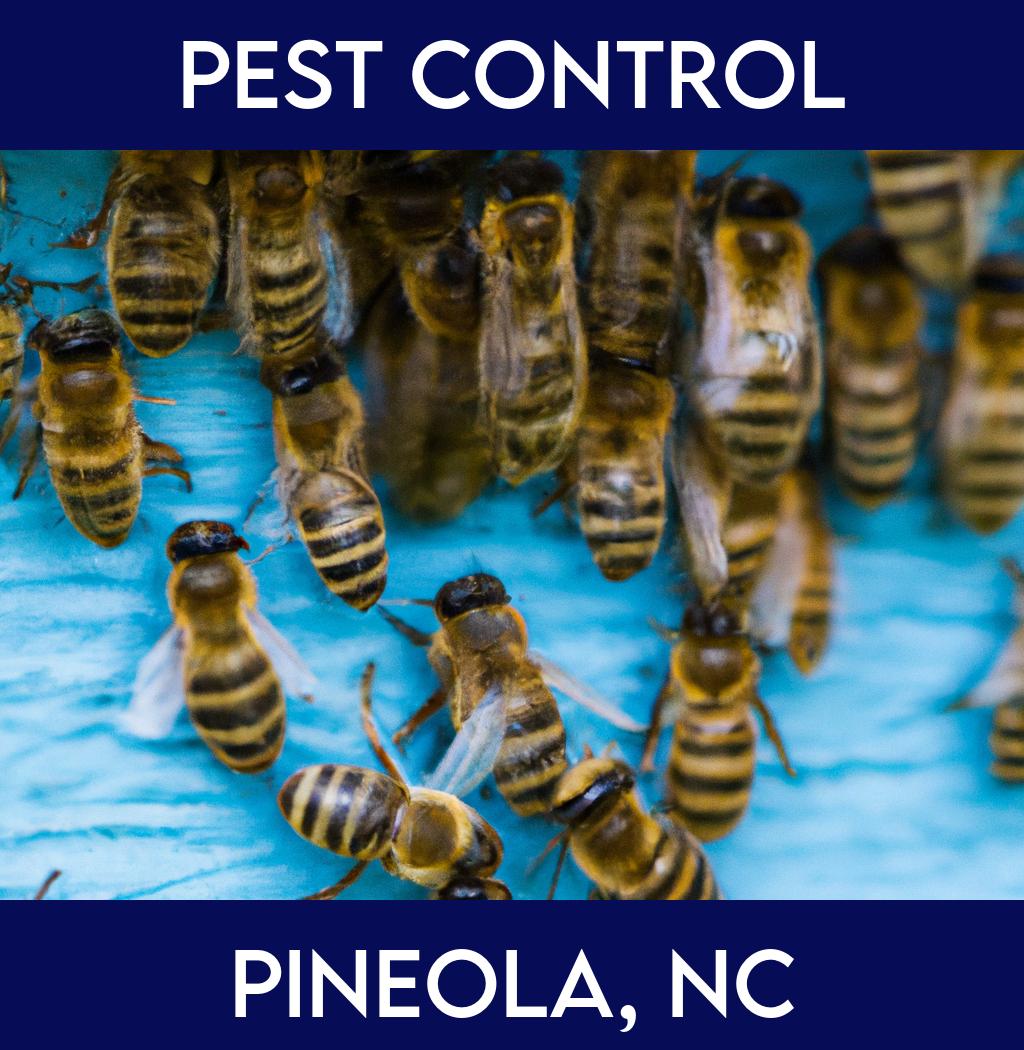 pest control in Pineola North Carolina