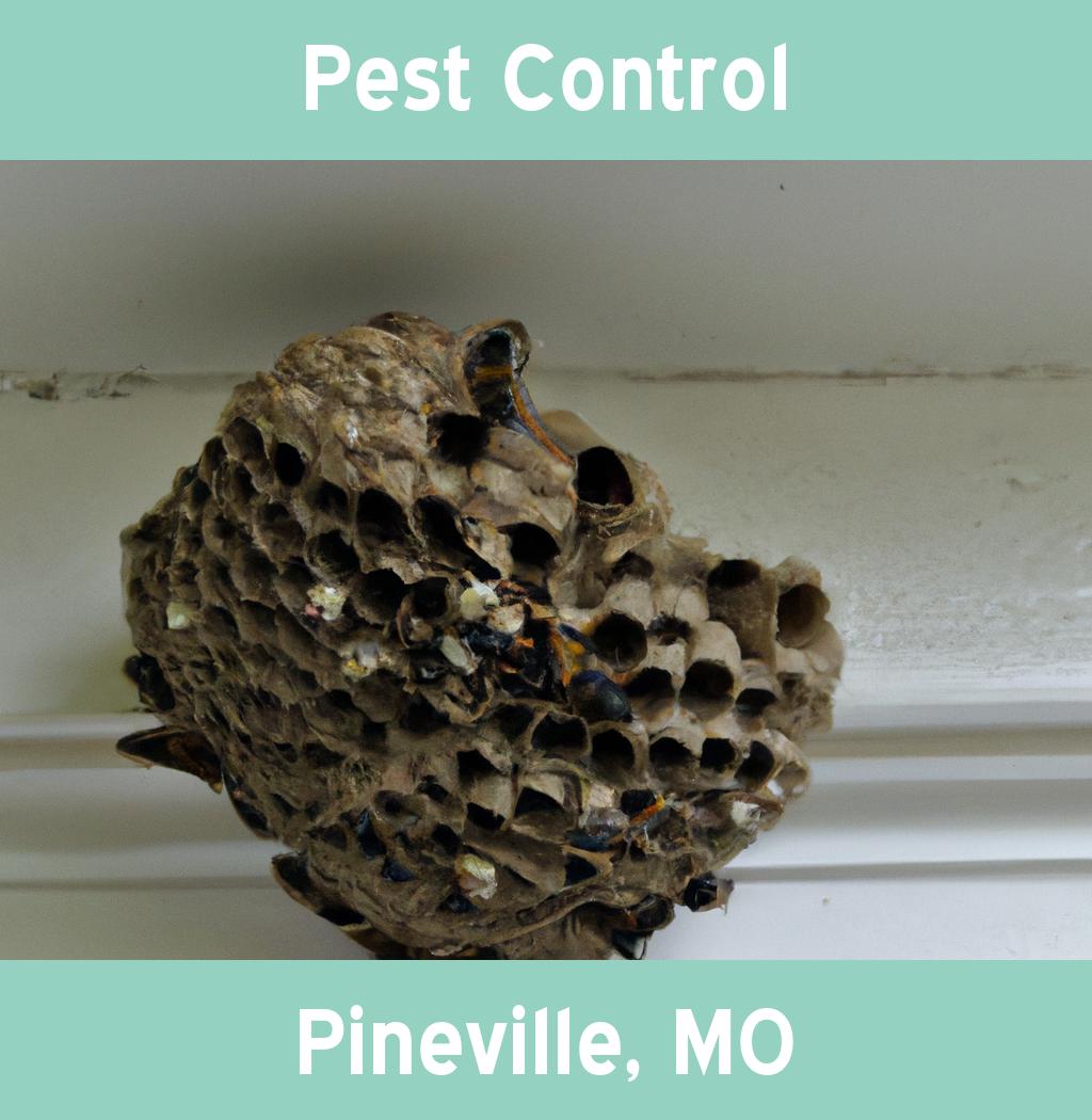 pest control in Pineville Missouri