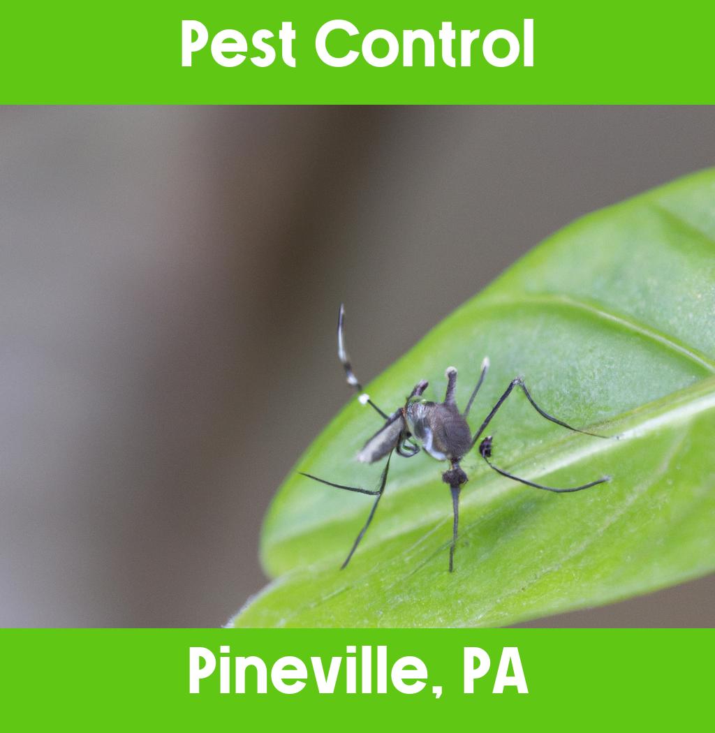 pest control in Pineville Pennsylvania