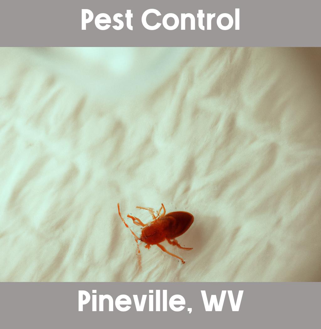 pest control in Pineville West Virginia