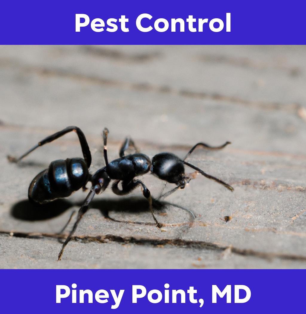pest control in Piney Point Maryland