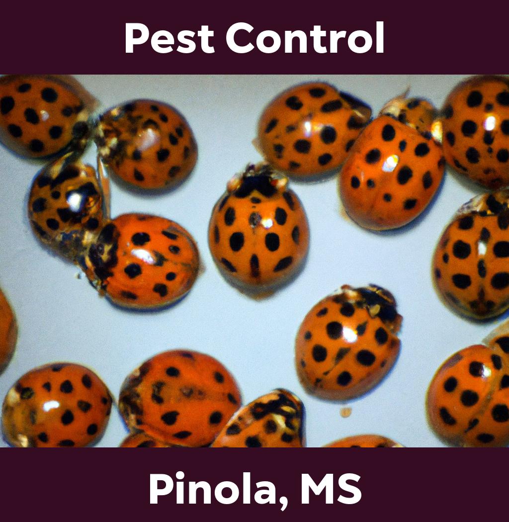 pest control in Pinola Mississippi